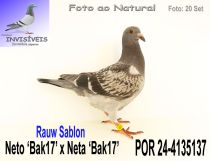 POR 24-4135137